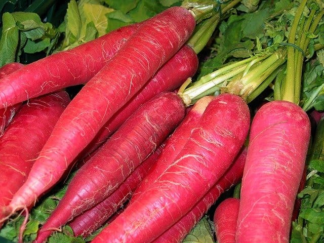 red radish ge518ab506 640