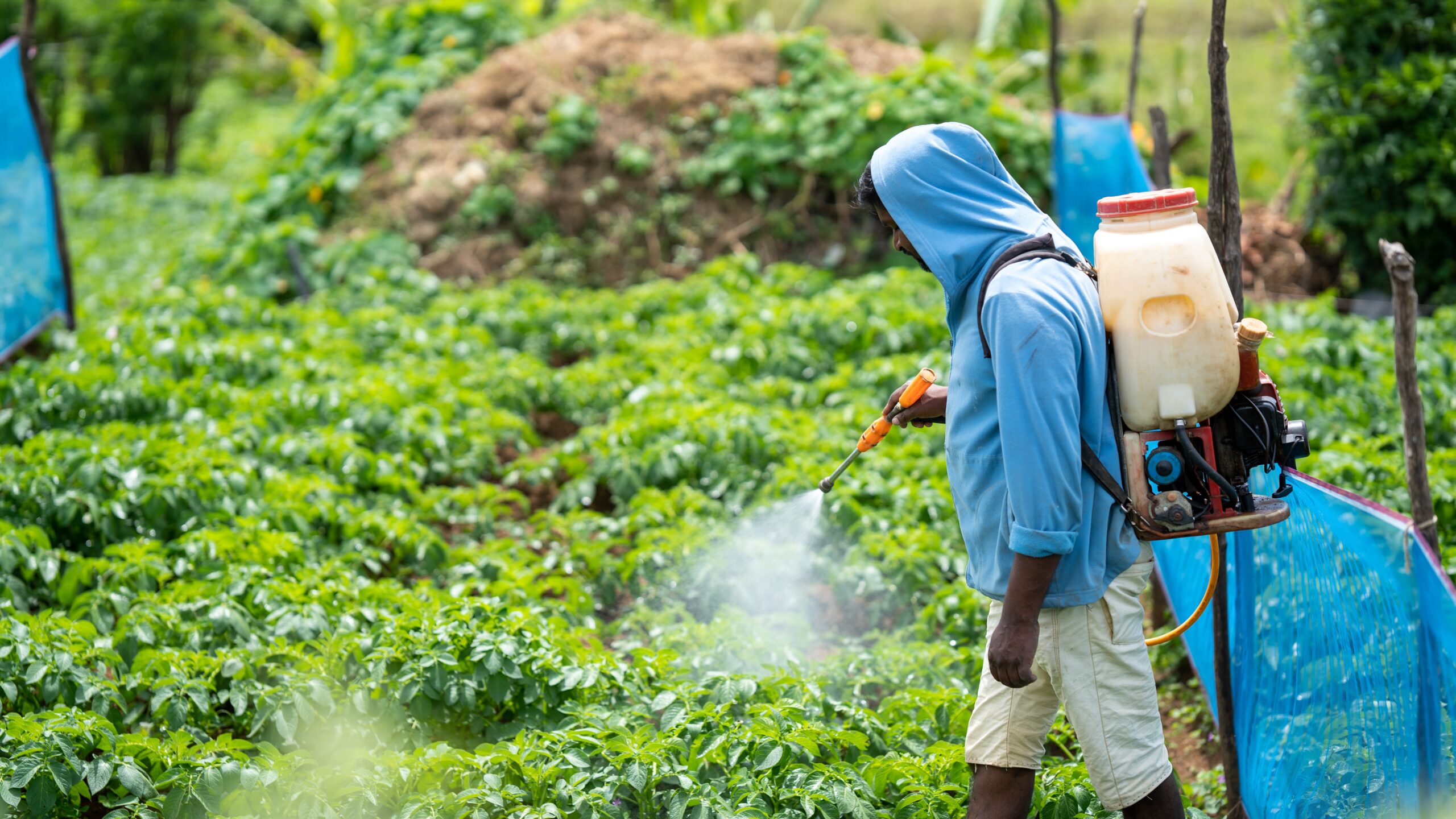 Regenerative Agriculture - Cultivating Hope for Sustainable Futures