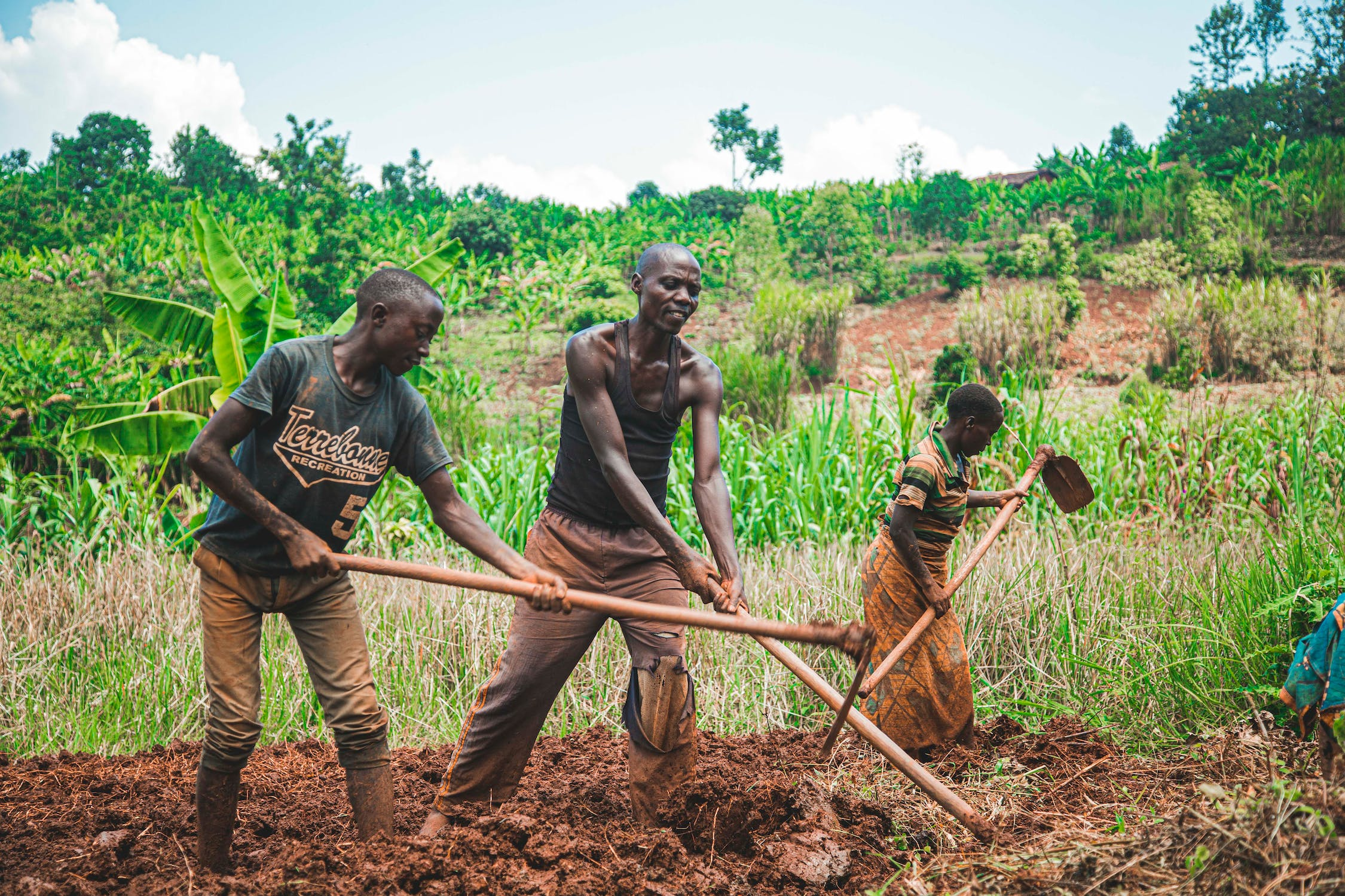 Essential Farming Tools Used in India: A Comprehensive Guide