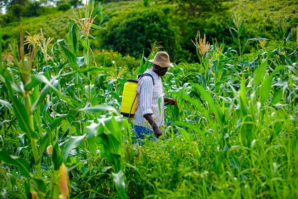 Sprayers and Sprinklers: Transforming Indian Agriculture by Efficient Use of Water