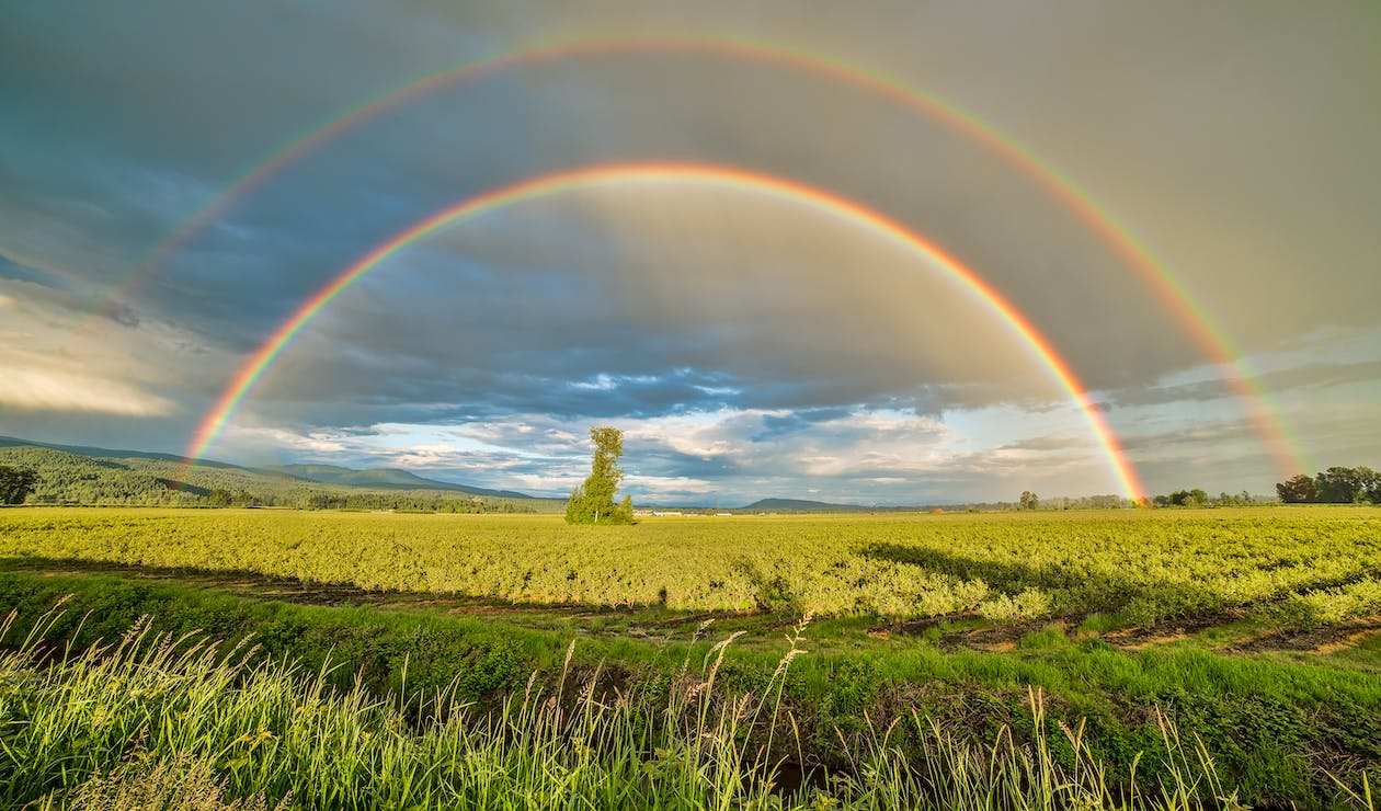 Free Crop Field Under Rainbow and Cloudy Skies at Dayime Stock Photo