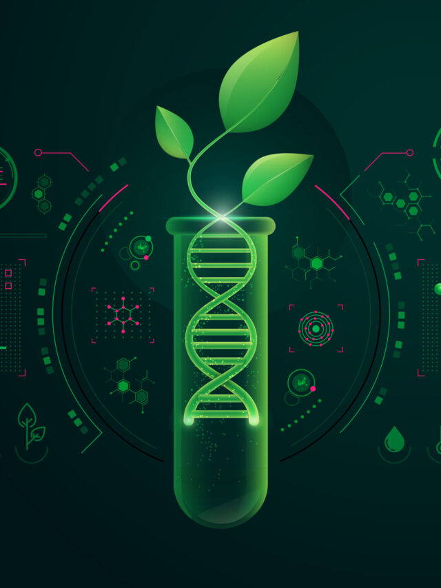 Top 10 Articles for Genetic Manipulation in Agriculture