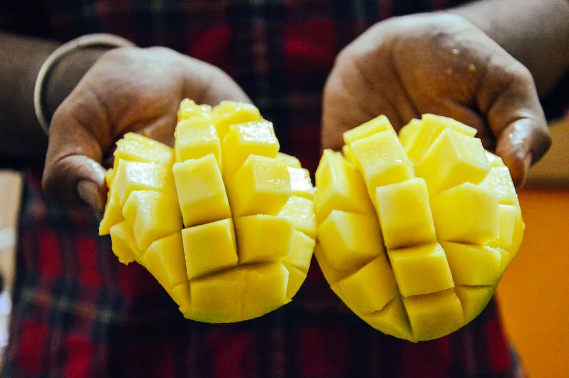 Mango Cultivation in India