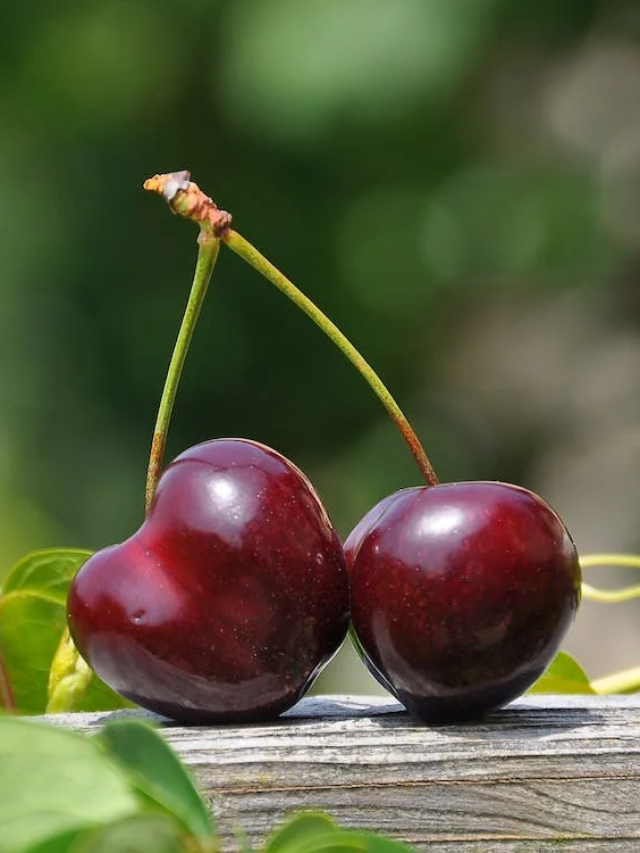 Top 10 Cherry Fruit Facts you must know !