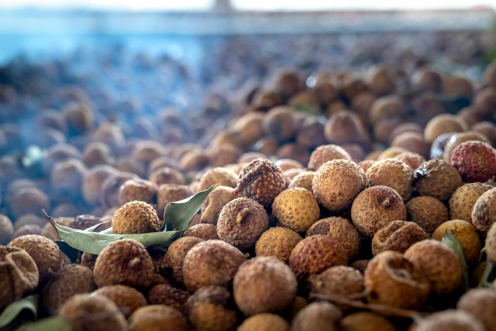 longan fruit in hindi