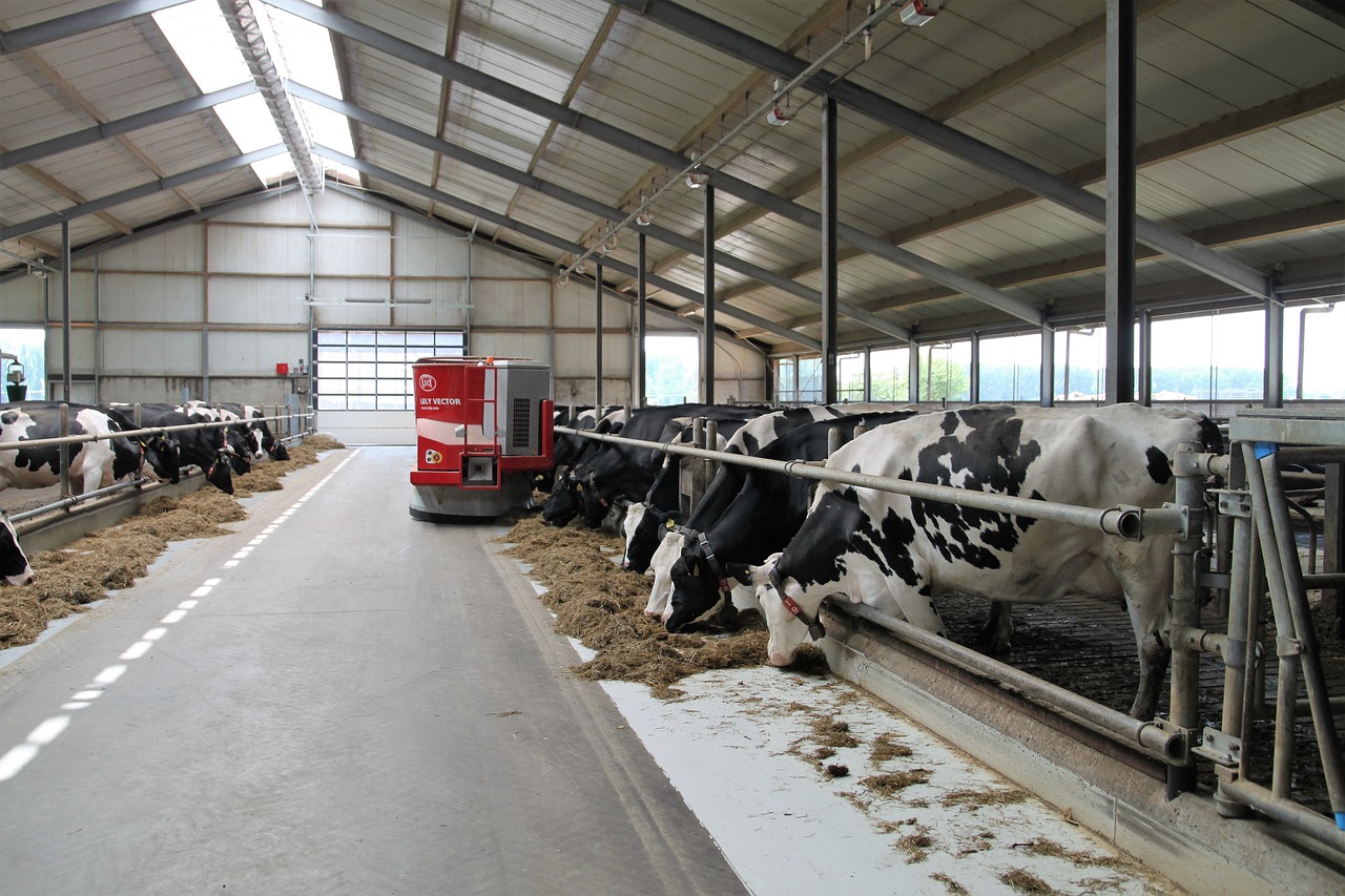 Nabard Dairy Farming Yojana 2024