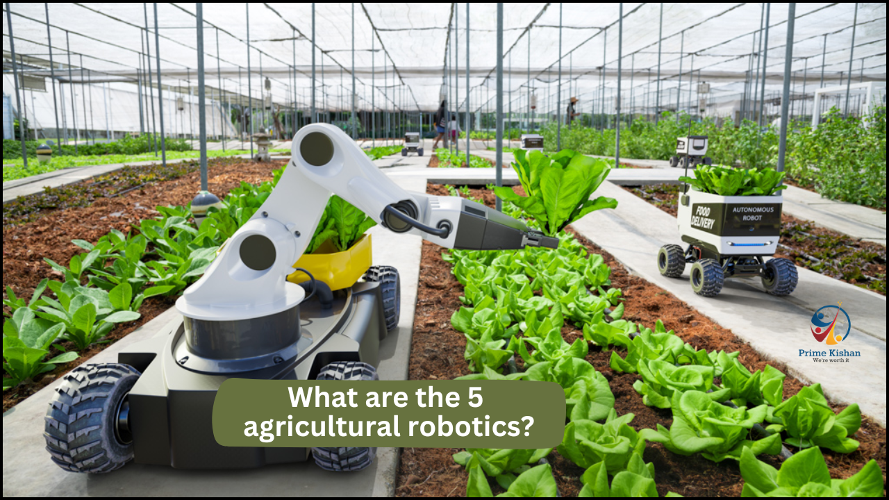 What are the 5 agricultural robotics?