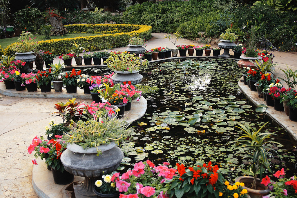 Lalbagh Flower Show 