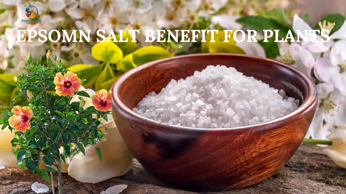 Epsom Salt Benefit for plants