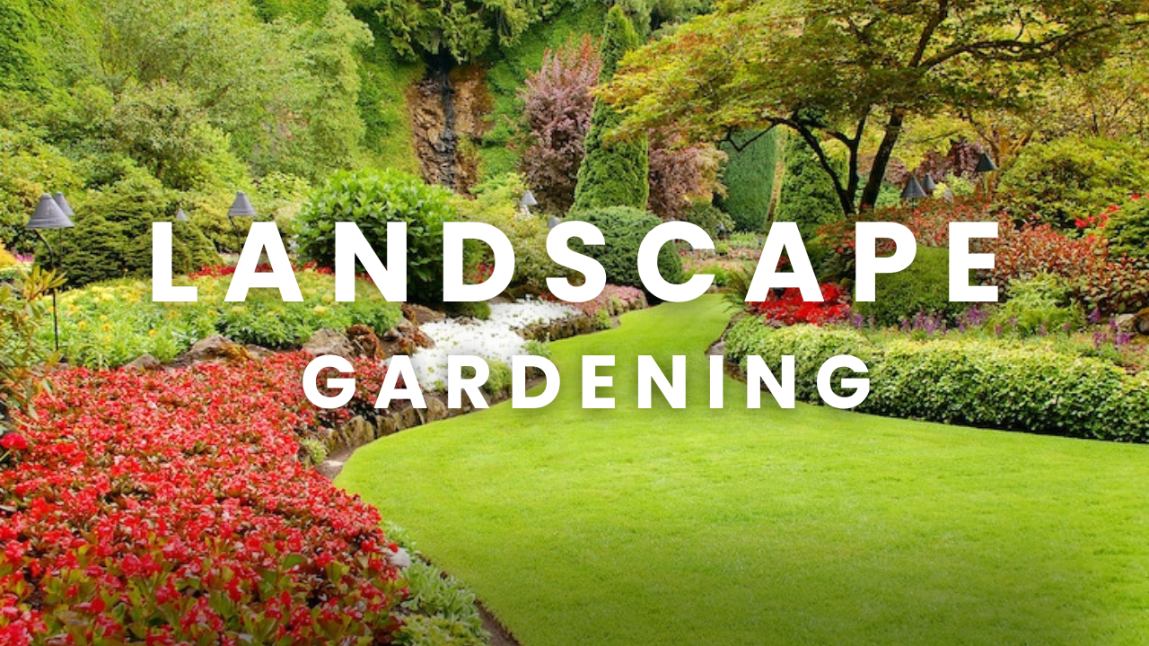 Landscape Gardening:A Guide to Transforming Outdoor Spaces