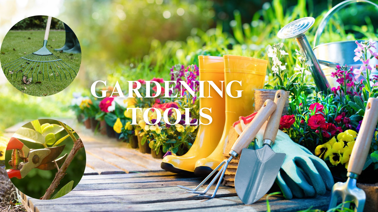 Gardening Tools for Every Gardener