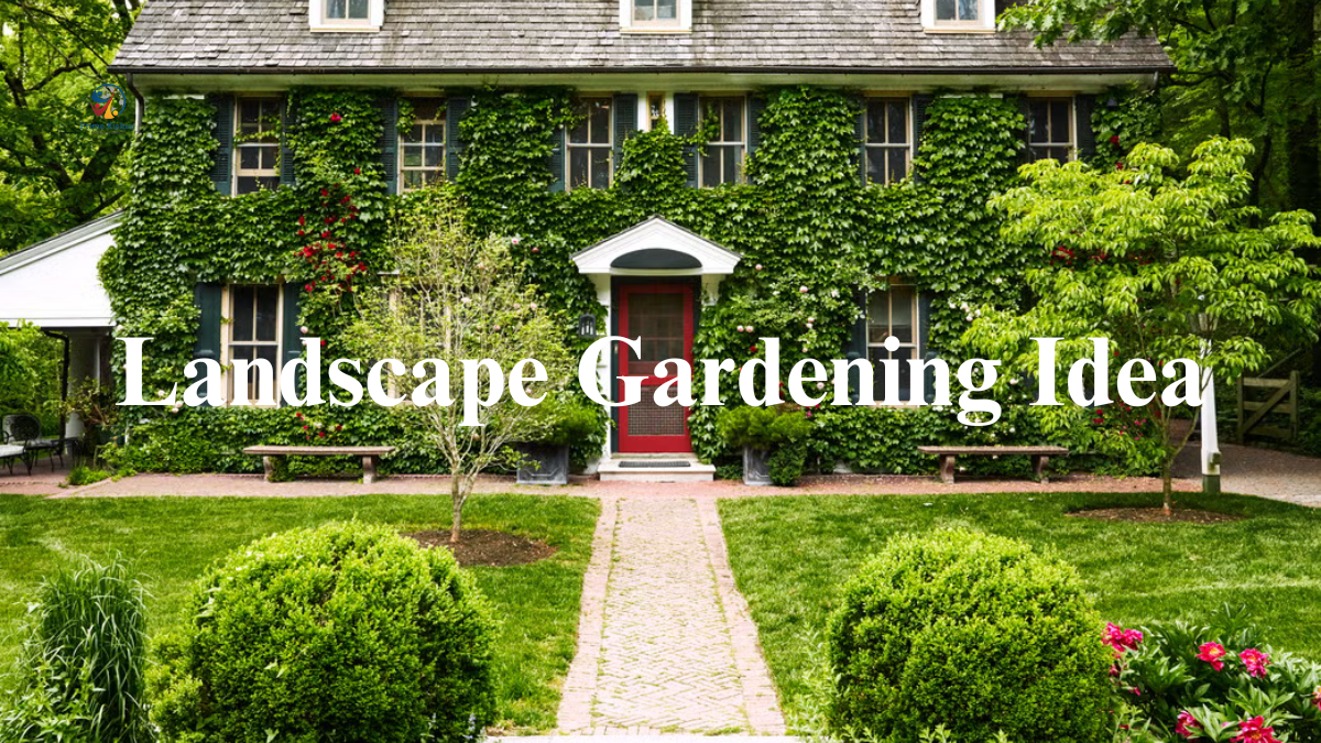 Landscape Gardening Ideas