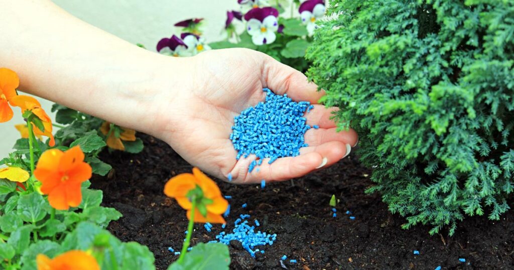 How to Give Fertilizer to Plant