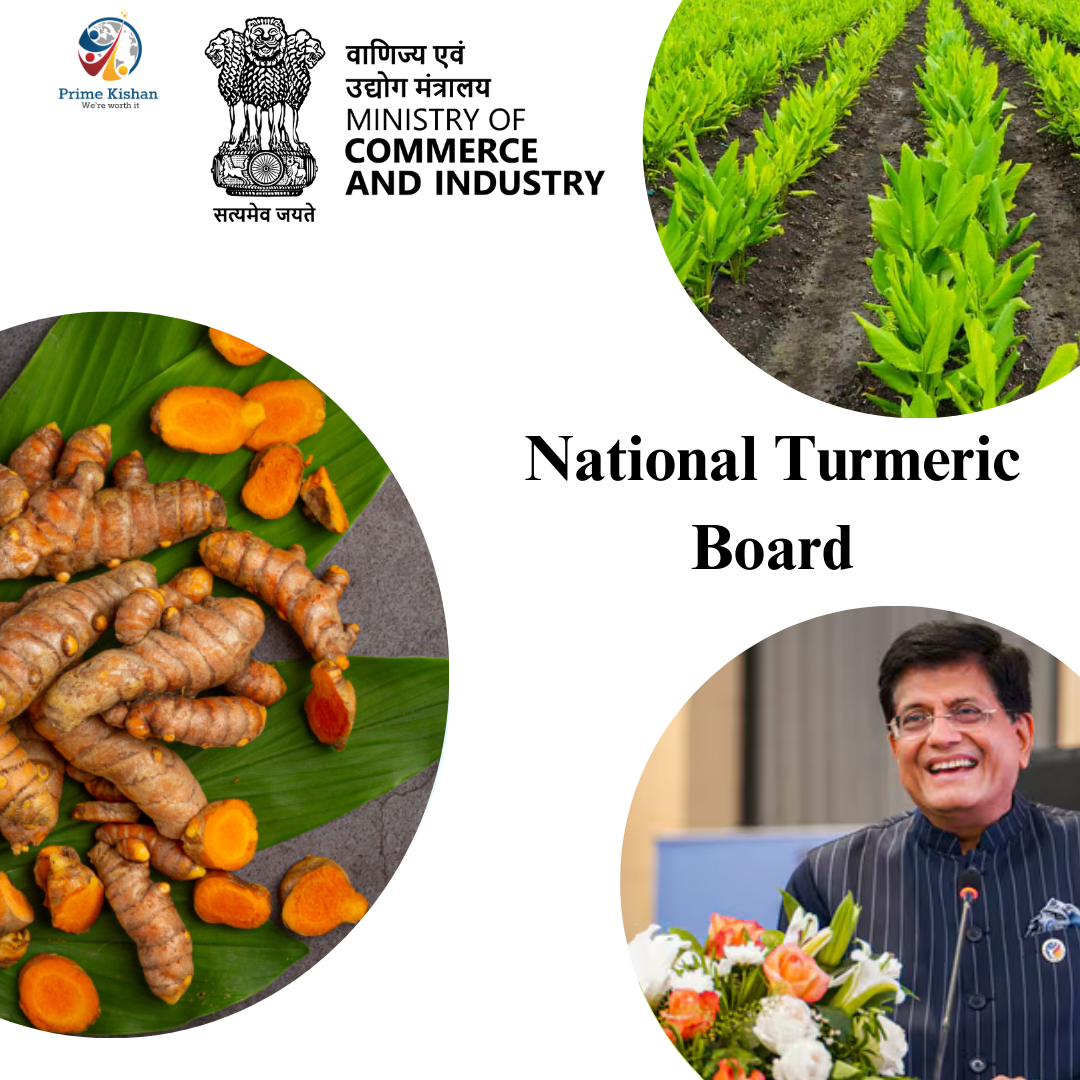 National Turmeric Board