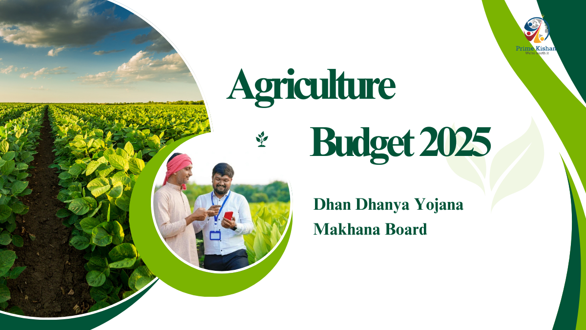 Agriculture Budget 2025